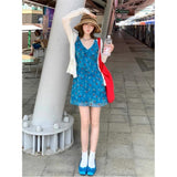 Blue Broken Flower V-Neck Small Dress Women's Summer 2026 New Big-Code Fat MM Beautiful Holiday Dress