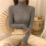 High-Necked Sweater Women 2025 Autumn And Winter Yangqi Inside A Knitted Bottom Shirt Long-Sleeved Cover Solid Color Top Women's Clothing